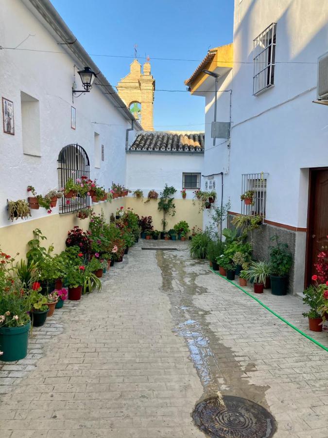 Apartamento Nuevo En Sierra Sur Sevilla Villanueva de San Juan Exterior foto